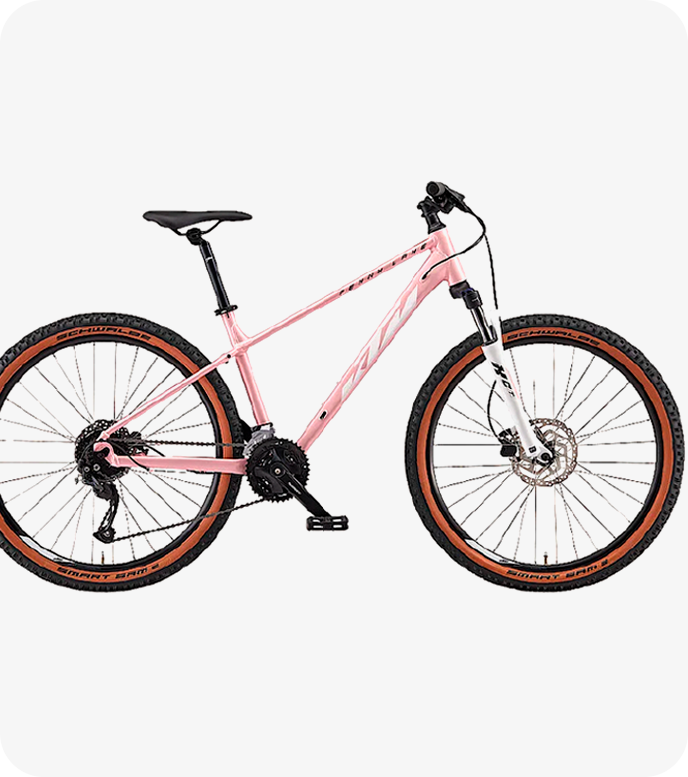 Bicicleta 01